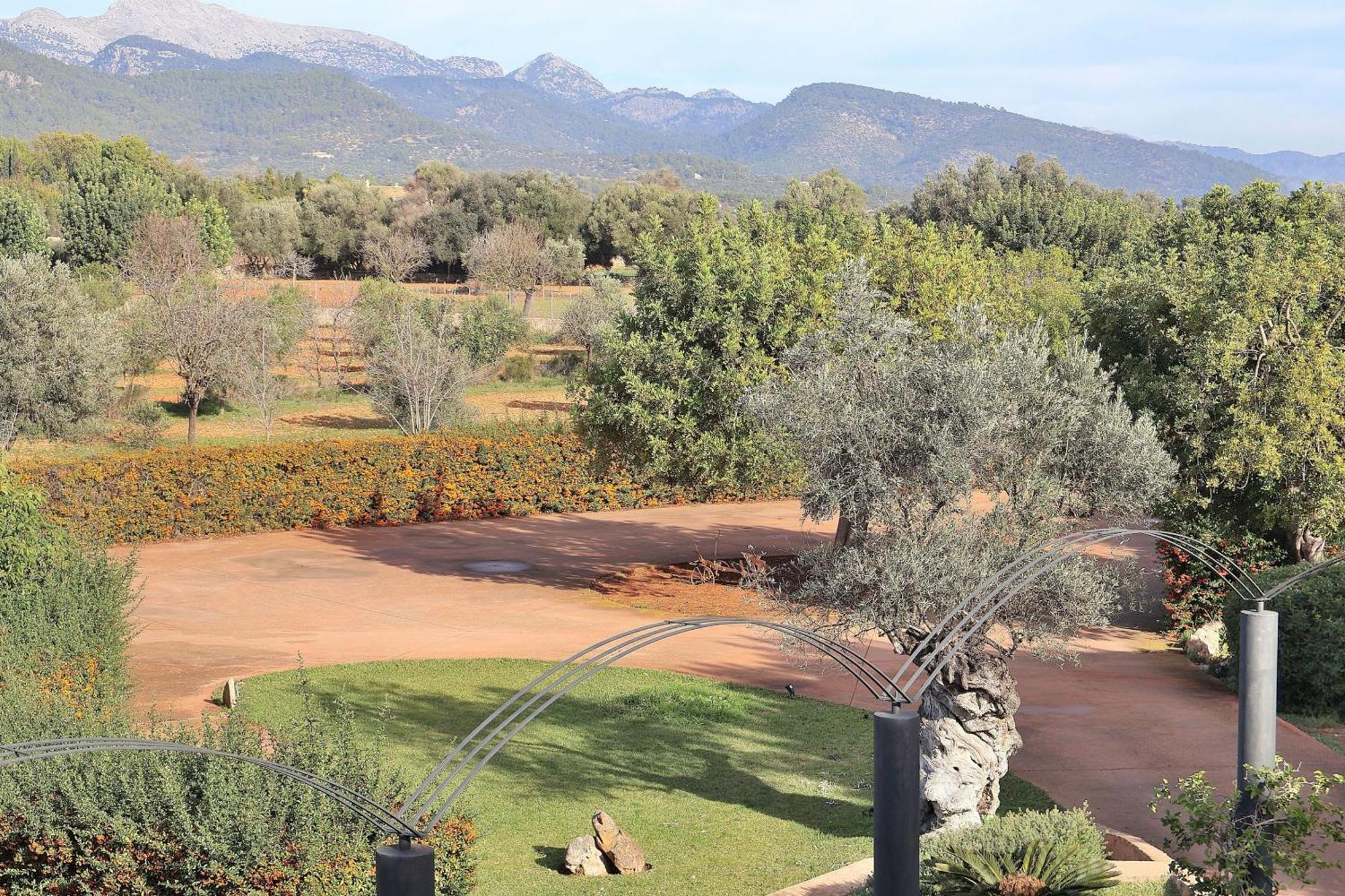 151 Villa Es Triquet Et3366 By Mallorca Charme Binissalem Luaran gambar