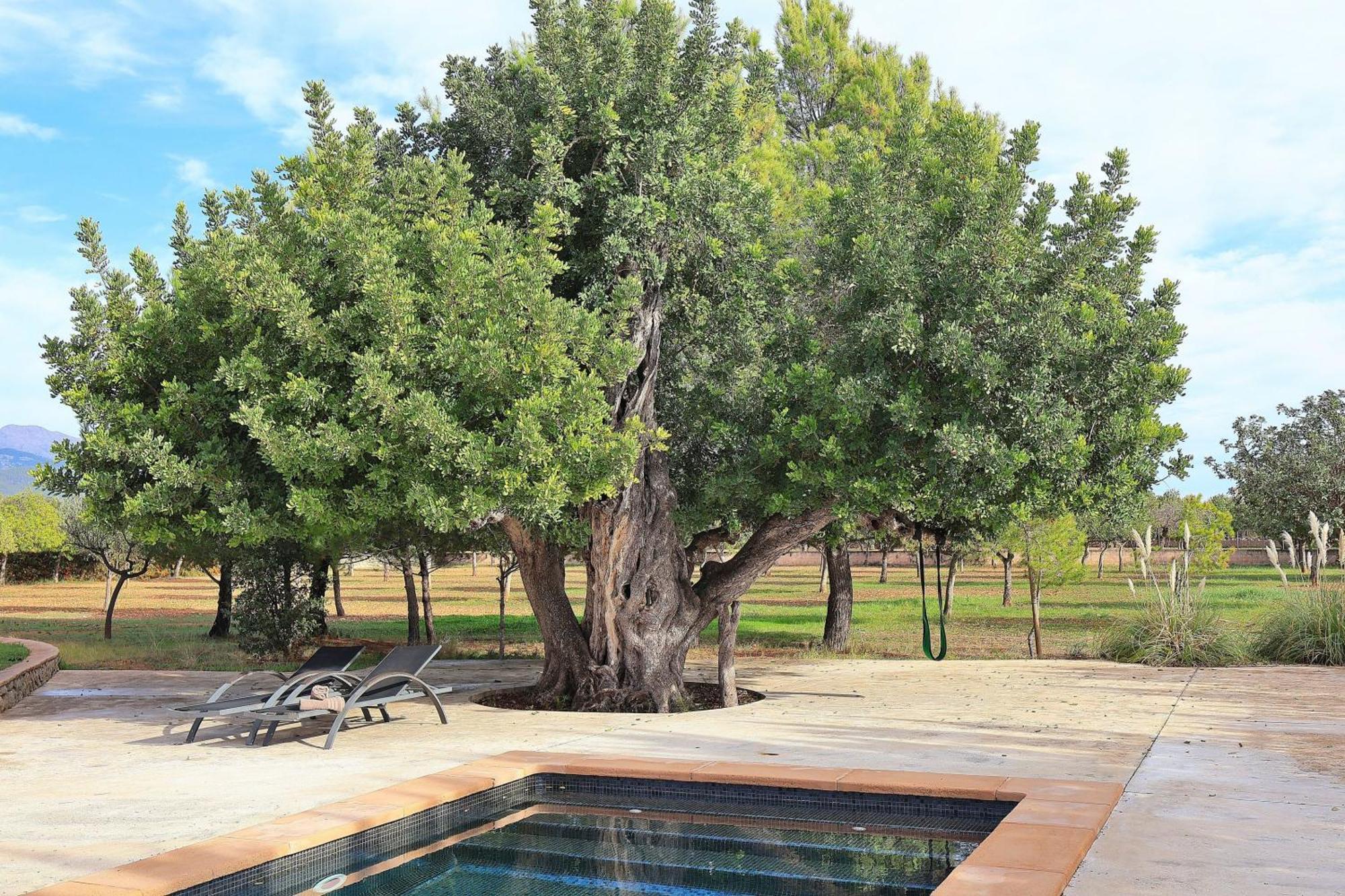 151 Villa Es Triquet Et3366 By Mallorca Charme Binissalem Luaran gambar